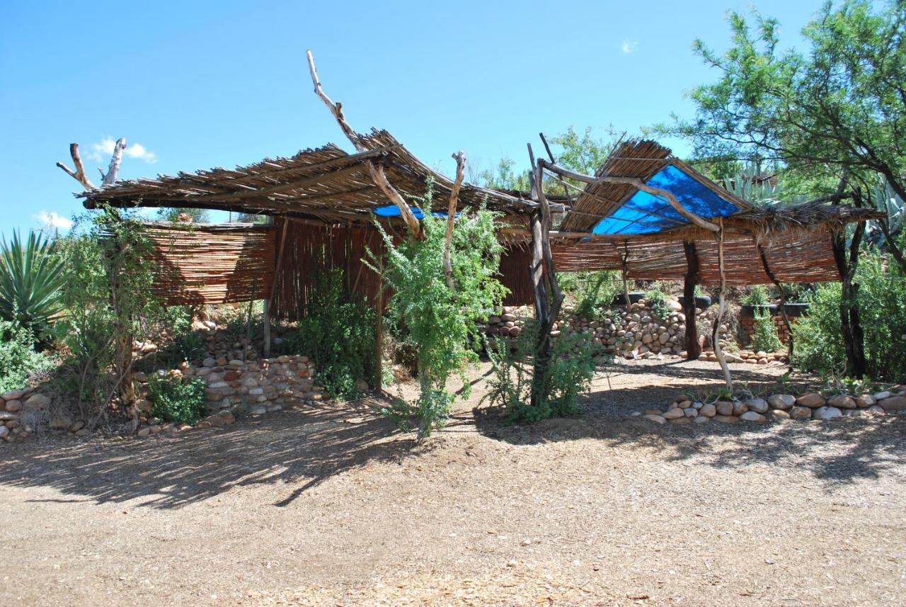 Amber Lagoon Backpackers Lodge Vleirivier Esterno foto