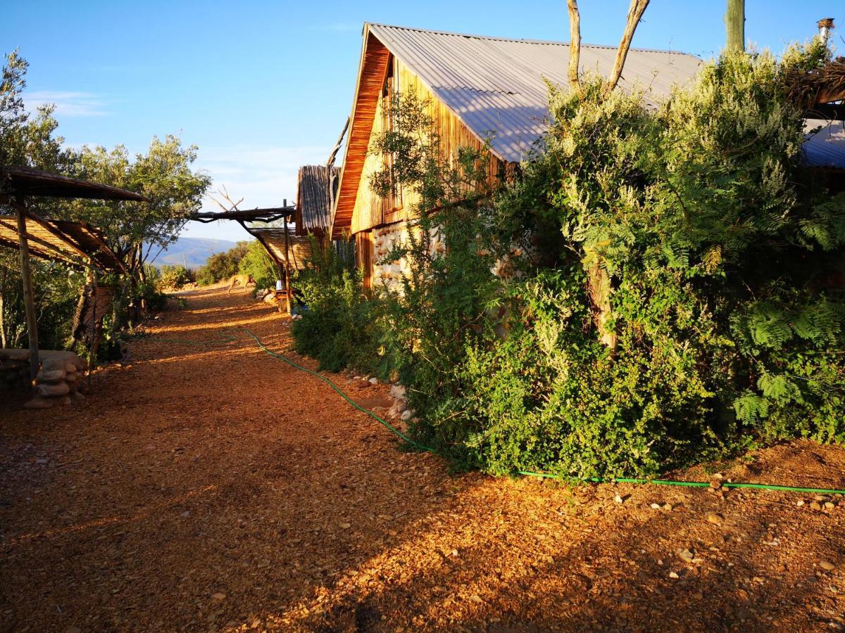 Amber Lagoon Backpackers Lodge Vleirivier Esterno foto