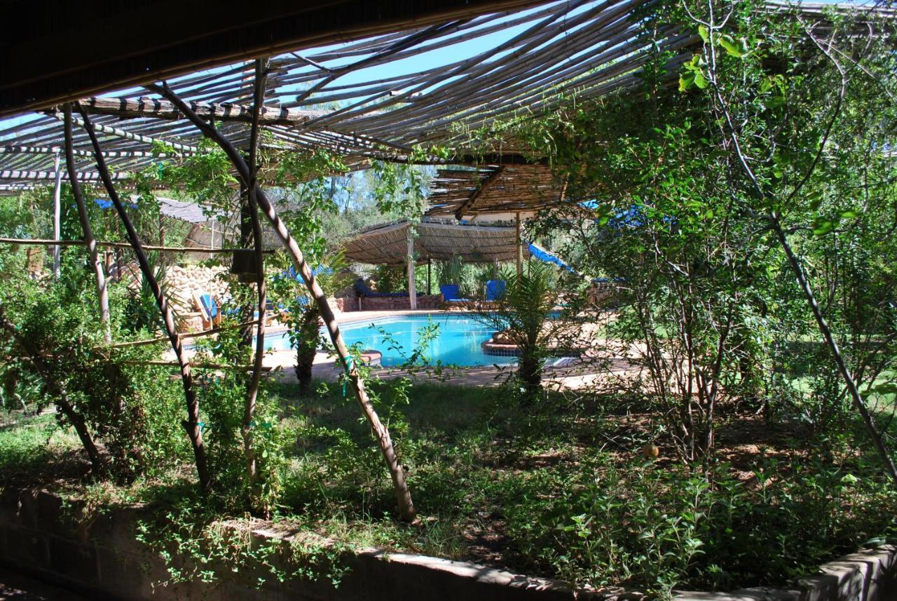 Amber Lagoon Backpackers Lodge Vleirivier Esterno foto